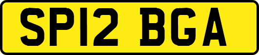 SP12BGA