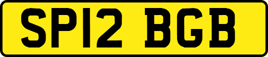 SP12BGB