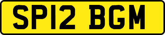 SP12BGM
