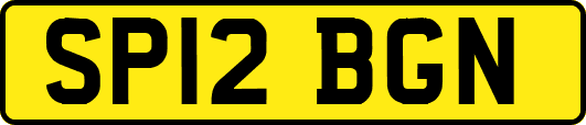 SP12BGN