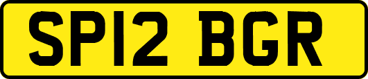 SP12BGR