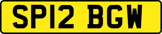 SP12BGW