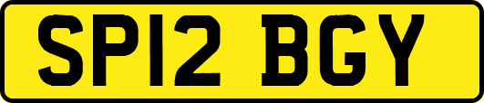 SP12BGY