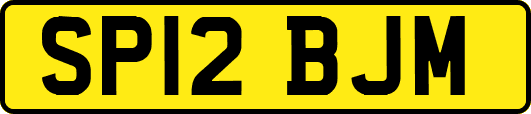 SP12BJM