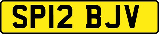 SP12BJV
