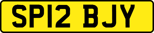 SP12BJY