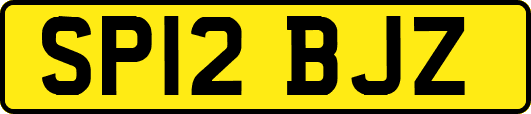 SP12BJZ