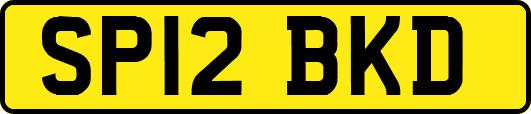 SP12BKD