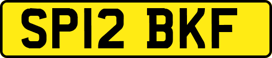 SP12BKF