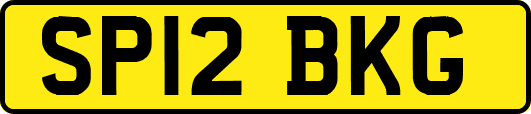 SP12BKG