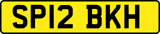 SP12BKH