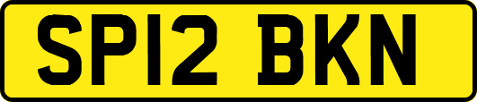SP12BKN