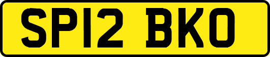 SP12BKO