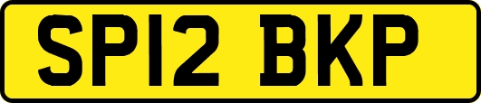 SP12BKP