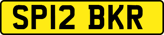 SP12BKR