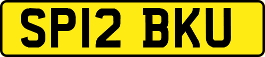 SP12BKU