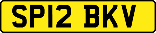 SP12BKV