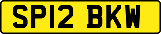 SP12BKW