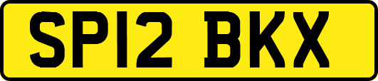 SP12BKX