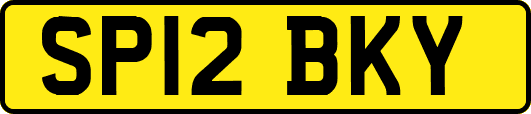 SP12BKY