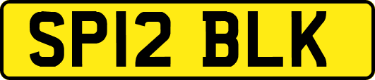 SP12BLK