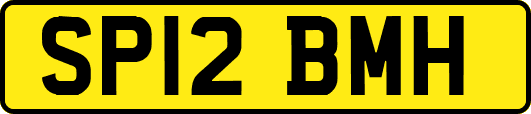SP12BMH
