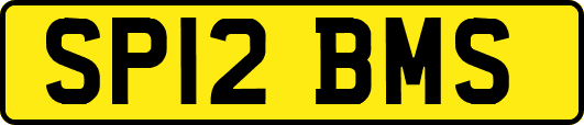 SP12BMS