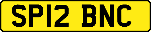SP12BNC