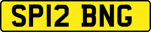 SP12BNG
