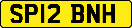 SP12BNH