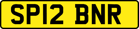SP12BNR