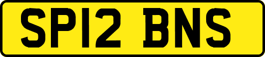 SP12BNS
