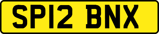 SP12BNX