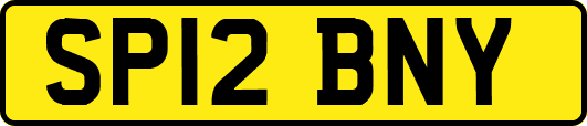 SP12BNY