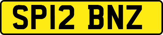 SP12BNZ