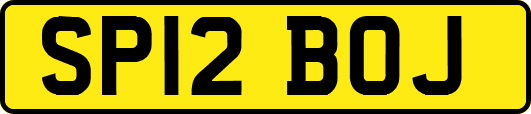 SP12BOJ