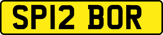 SP12BOR