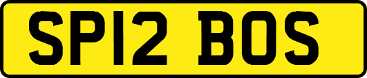 SP12BOS