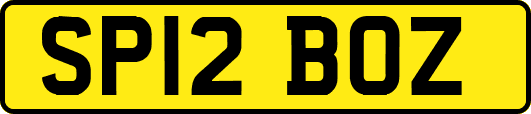 SP12BOZ