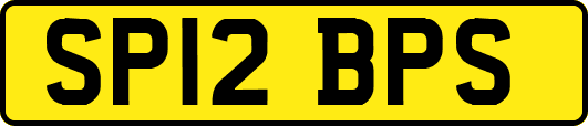 SP12BPS