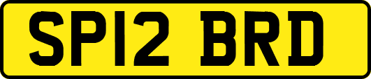 SP12BRD