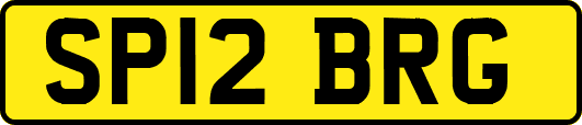 SP12BRG