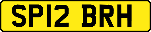 SP12BRH