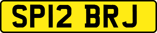 SP12BRJ