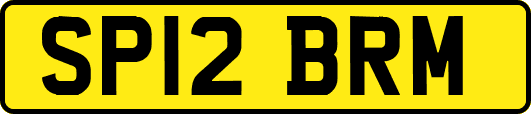 SP12BRM