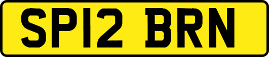 SP12BRN