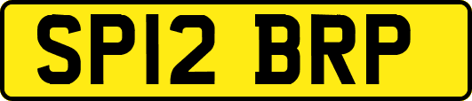 SP12BRP