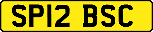 SP12BSC