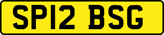 SP12BSG