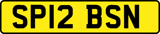 SP12BSN